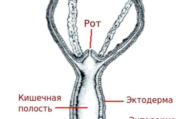 Кракен сайт даркнет зеркало